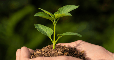 Reconhecimento em Sustentabilidade e Inovação no Setor Farmacêutico