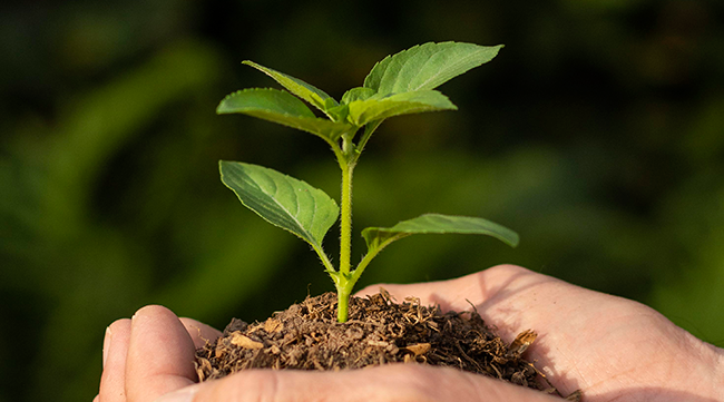 Reconhecimento em Sustentabilidade e Inovação no Setor Farmacêutico
