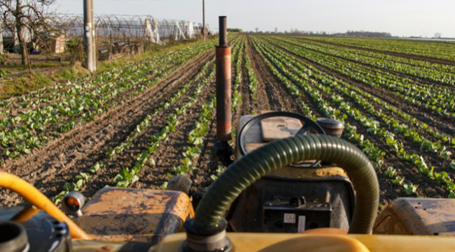 Tecnologia invisível que move o Brasil: o papel do AVACR na segurança alimentar e na saúde pública